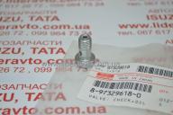 Клапан распылителя охлаждения поршня ISUZU 4HG1/4HG1-T БОГДАН оригинал 8973296180