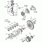 Подшипник маховика БОГДАН ИСУЗУ 4HG1, 203 0