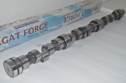 Вал распределительный ТАТА , ЭТАЛОН, I-VAN, БАЗ 613/713 252505100140